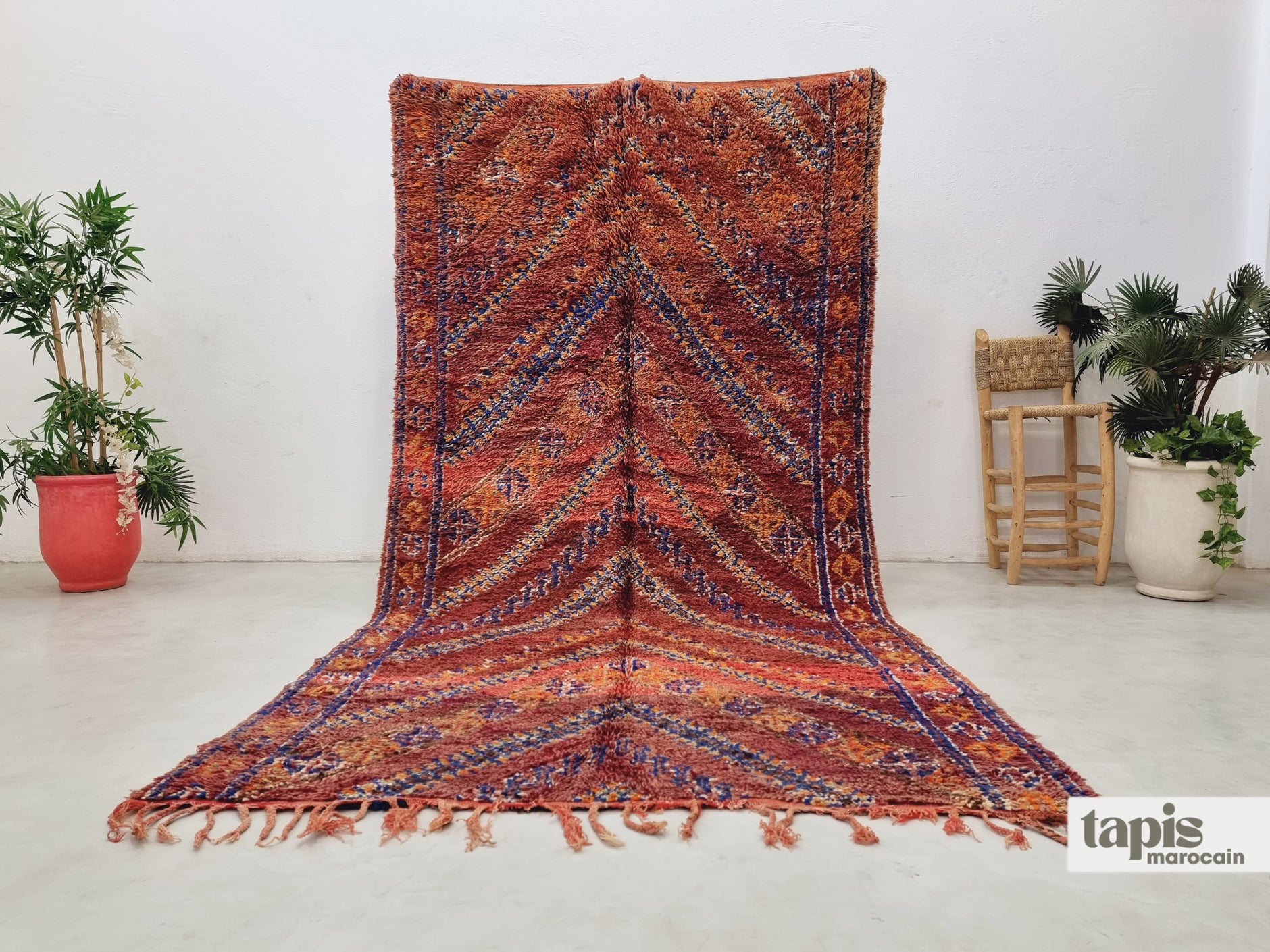 Tapis De Coureur Bokhara Jaldar Rouge 2,5x11 - Noué Main Laine/soie - RugsTC